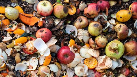 Food waste collection Sheffield .